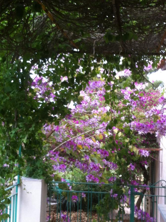 La Fattoria ξενώνας Sciacca Εξωτερικό φωτογραφία