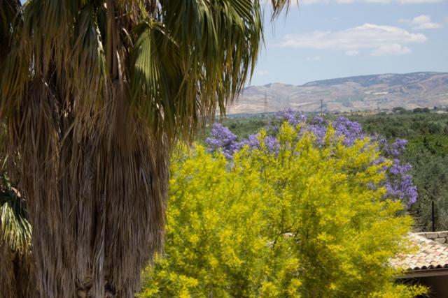 La Fattoria ξενώνας Sciacca Εξωτερικό φωτογραφία